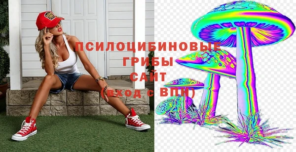 стаф Абдулино